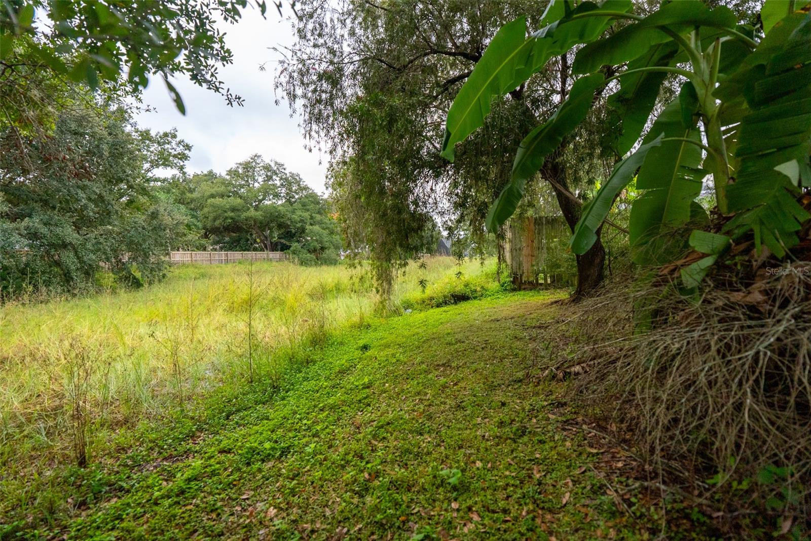 PLANTERS WALK - Residential