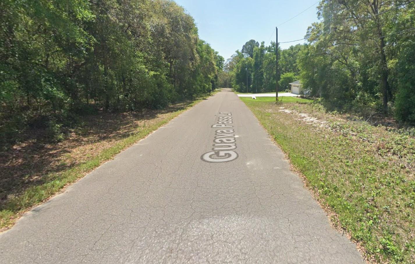 GUAVA PASS LANE