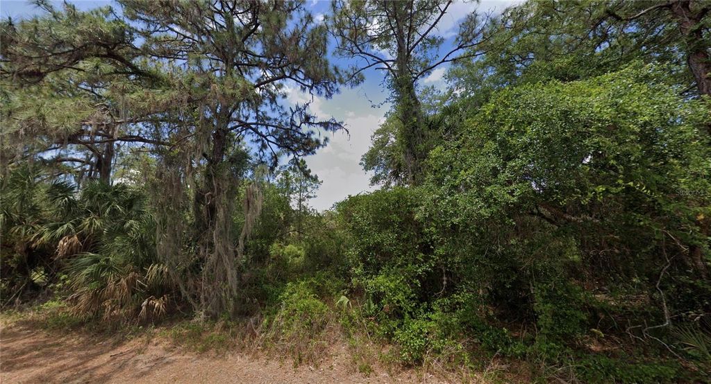 Photo of 14310 Dunlap Avenue, Port Charlotte, FL 33953 (MLS # O6298787)