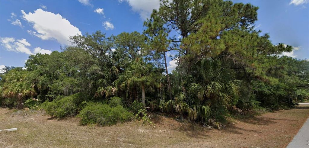 Photo of 14310 Dunlap Avenue, Port Charlotte, FL 33953 (MLS # O6298787)