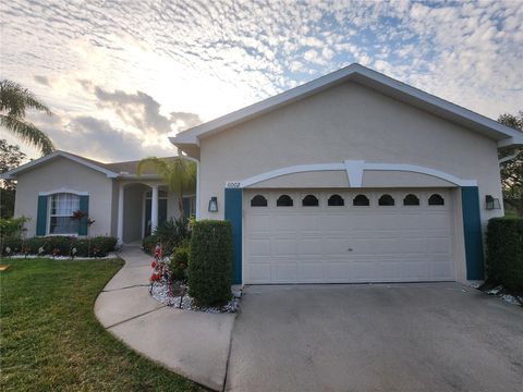 6002 RENAISSANCE COURT ST CLOUD FL 34772