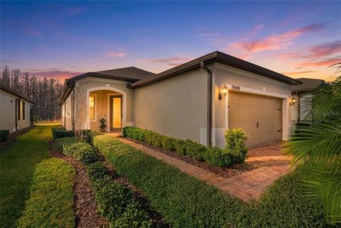 Photo of 19440 Ship Wheel Way, Land O Lakes, FL 34638 (MLS # W7881627)