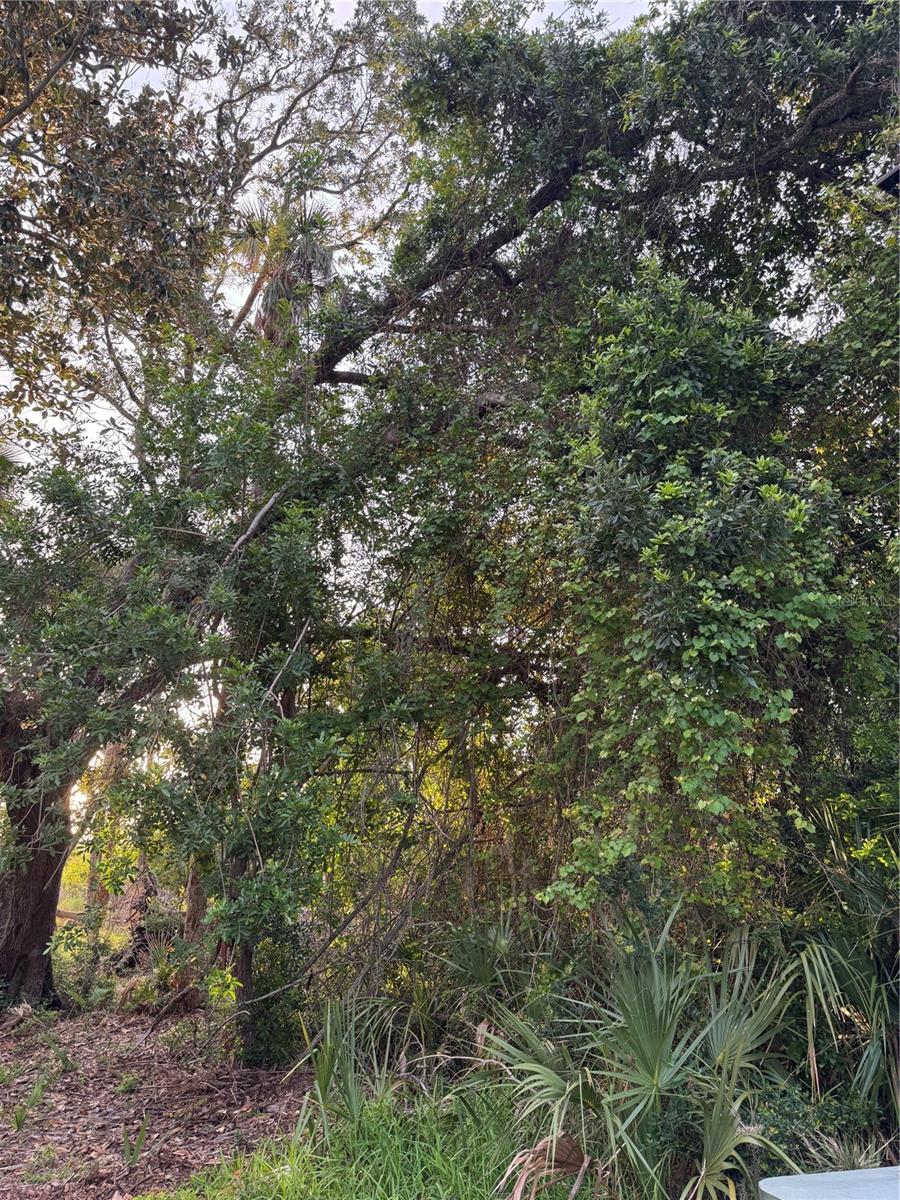 2 N RIVERWALK DRIVE