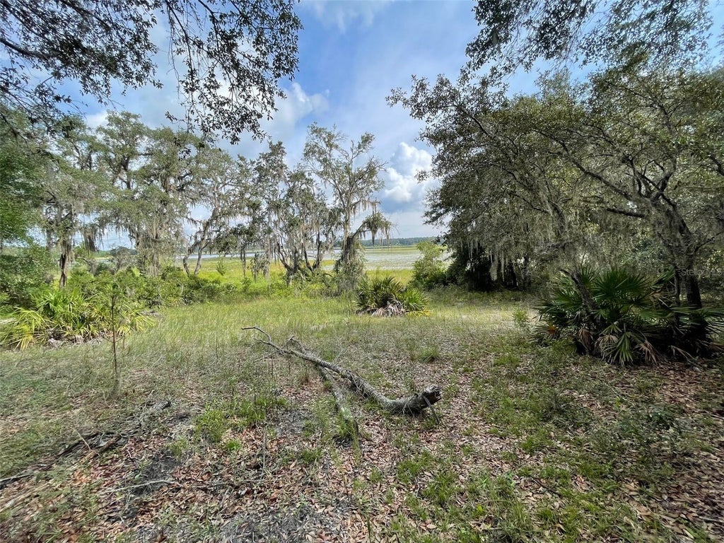 Photo of 462 SW Shorewood Drive, Dunnellon, FL 34431 (MLS # OM734157)