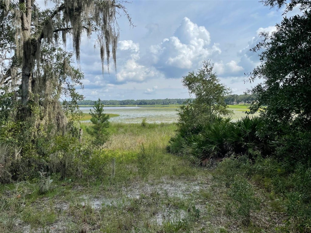 Photo of 462 SW Shorewood Drive, Dunnellon, FL 34431 (MLS # OM734157)