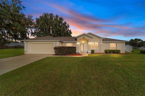 Photo of 393 NE 58th Street, Ocala, FL 34479 (MLS # OM711565)