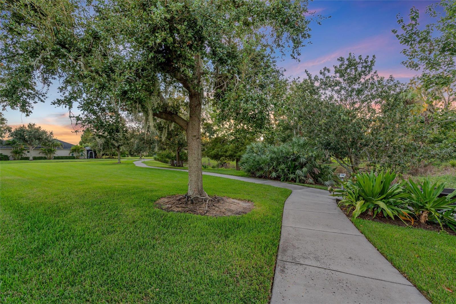 FOREST CREEK PH I & I-A - Residential