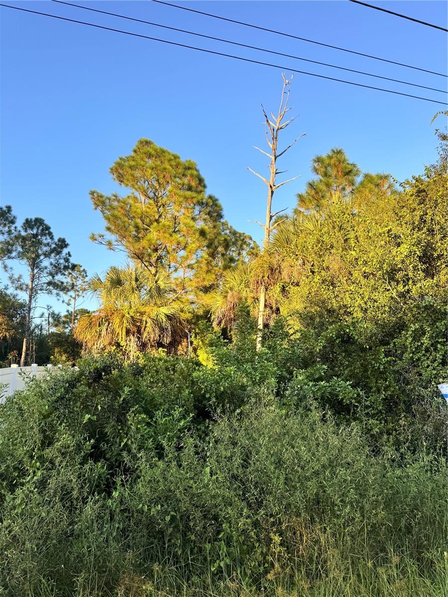 PORT CHARLOTTE SUB 19 - Land