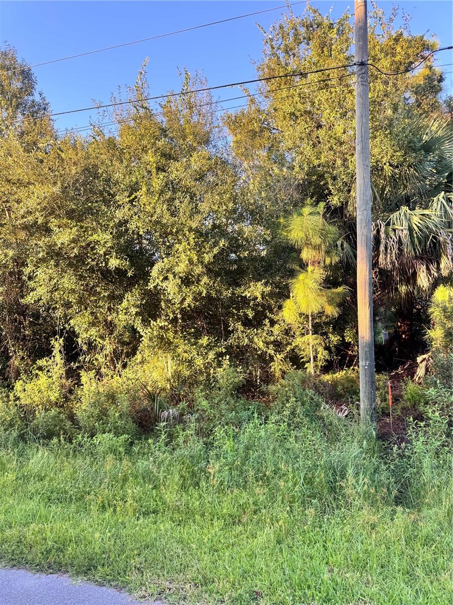 PORT CHARLOTTE SUB 19 - Land