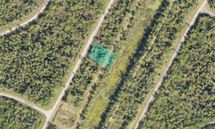 Looking to plant your next big idea? This vacant lot in a soon-to-bloom neighborhood of North Port, FL, is just the canvas you need. Fresh air, wide-open space, and the promise of growth all wrapped into one enticing opportunity. With its spot in a future-developing area, this lot is a golden ticket to potential. Claim it now or watch its value climb. Ready to talk? Call today and get started on your next big chapter.