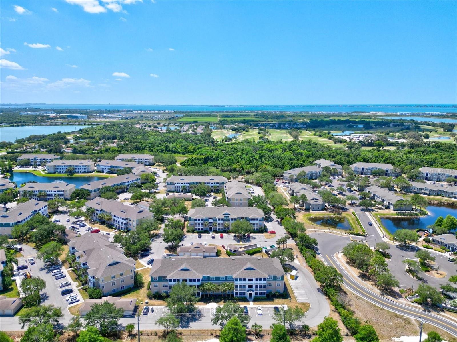 THE PALMS OF CORTEZ - Residential