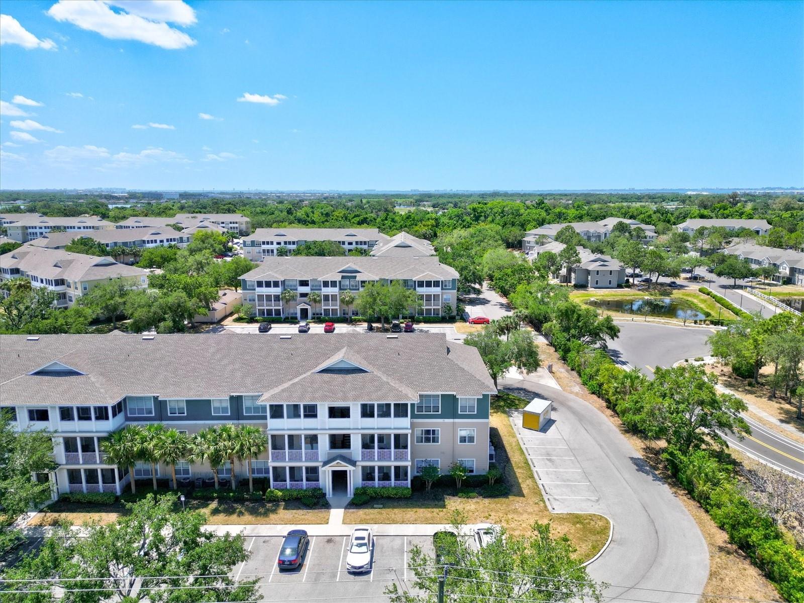 THE PALMS OF CORTEZ - Residential