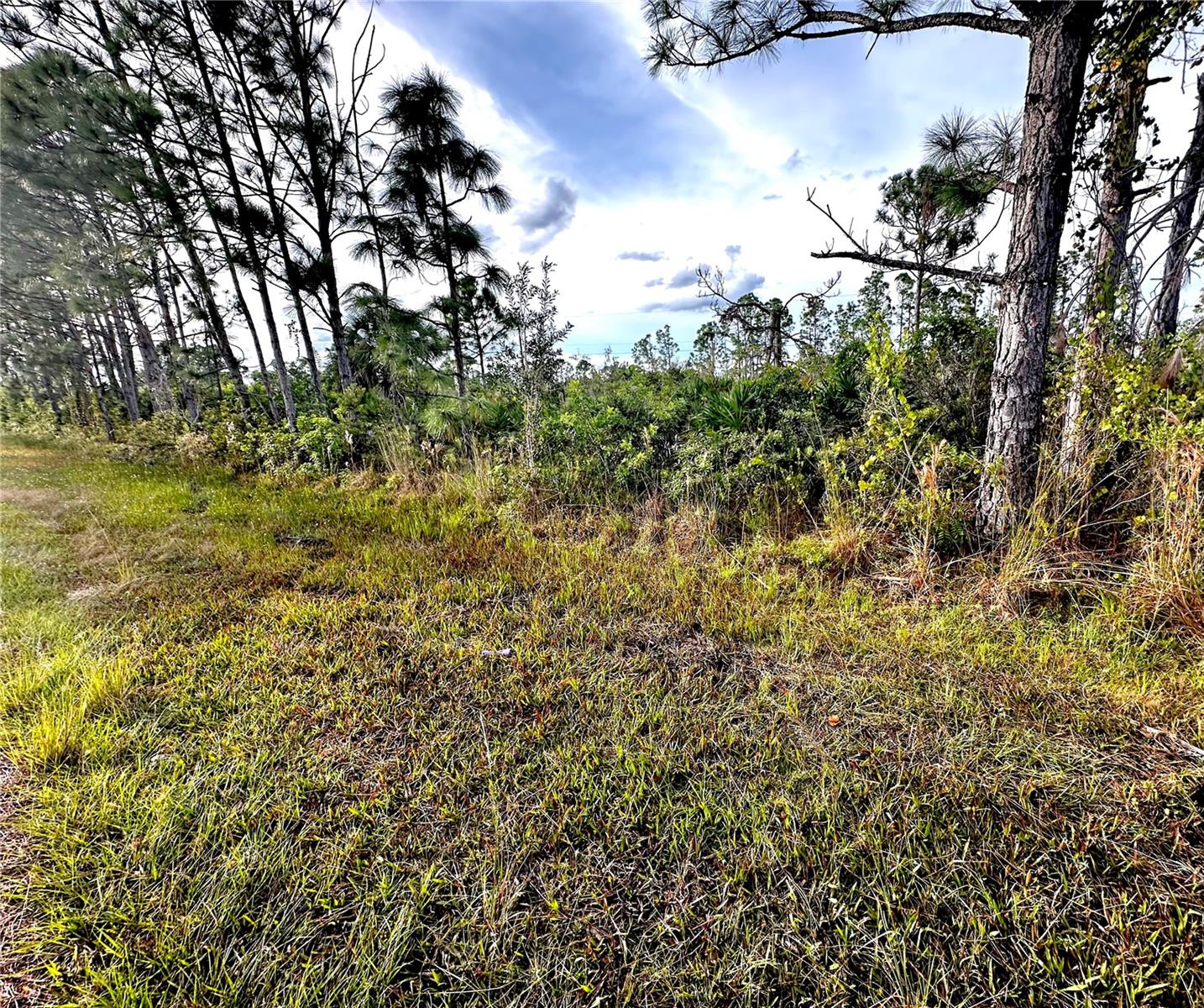 PORT CHARLOTTE SEC 056 - Land