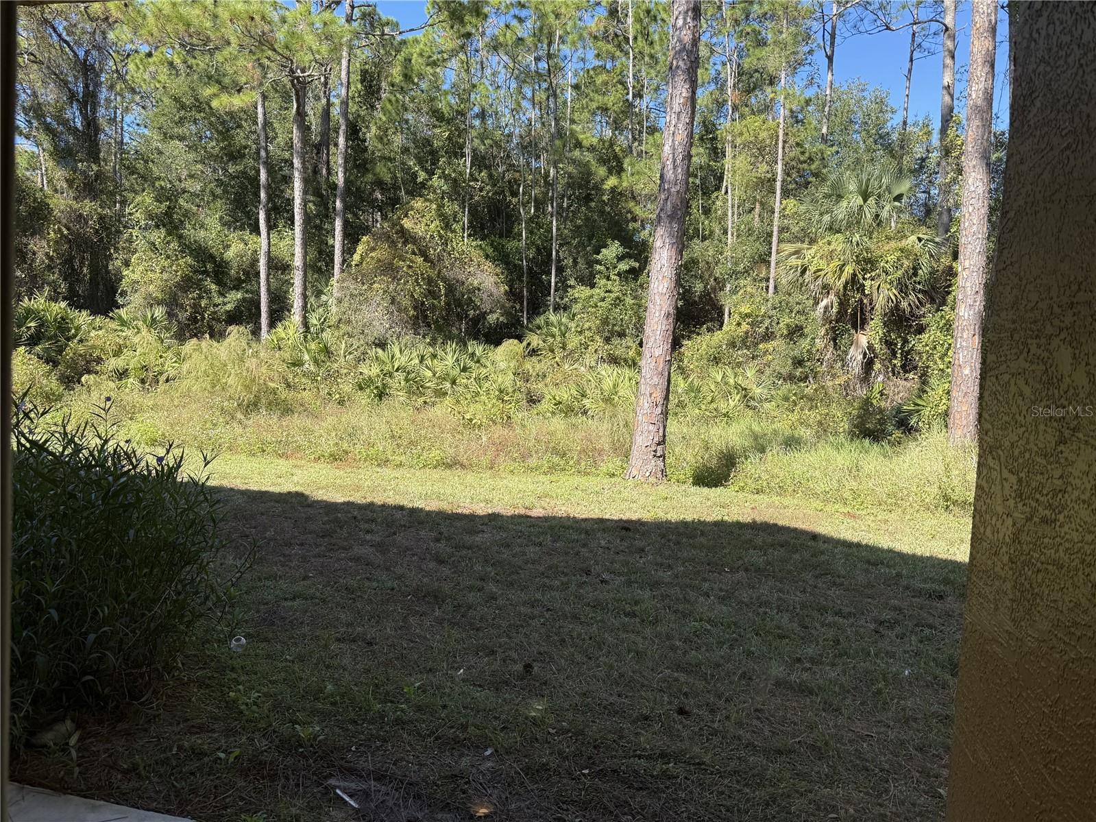 PALM POINTE I - Residential