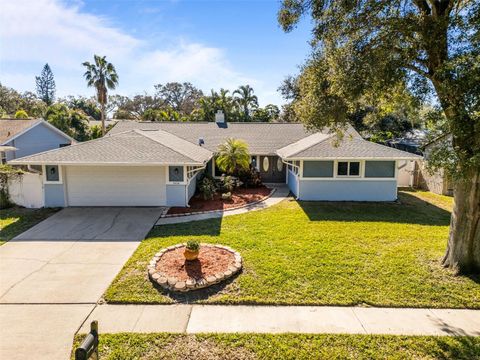 A home in PALM HARBOR