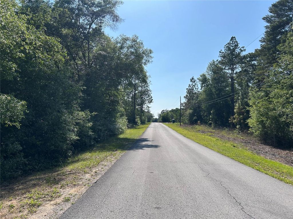 Photo of Tbd SW Audubon Avenue, Dunnellon, FL 34432 (MLS # OM700887)