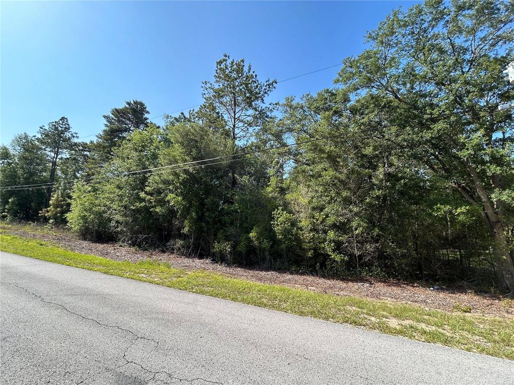 Photo of Tbd SW Audubon Avenue, Dunnellon, FL 34432 (MLS # OM700887)