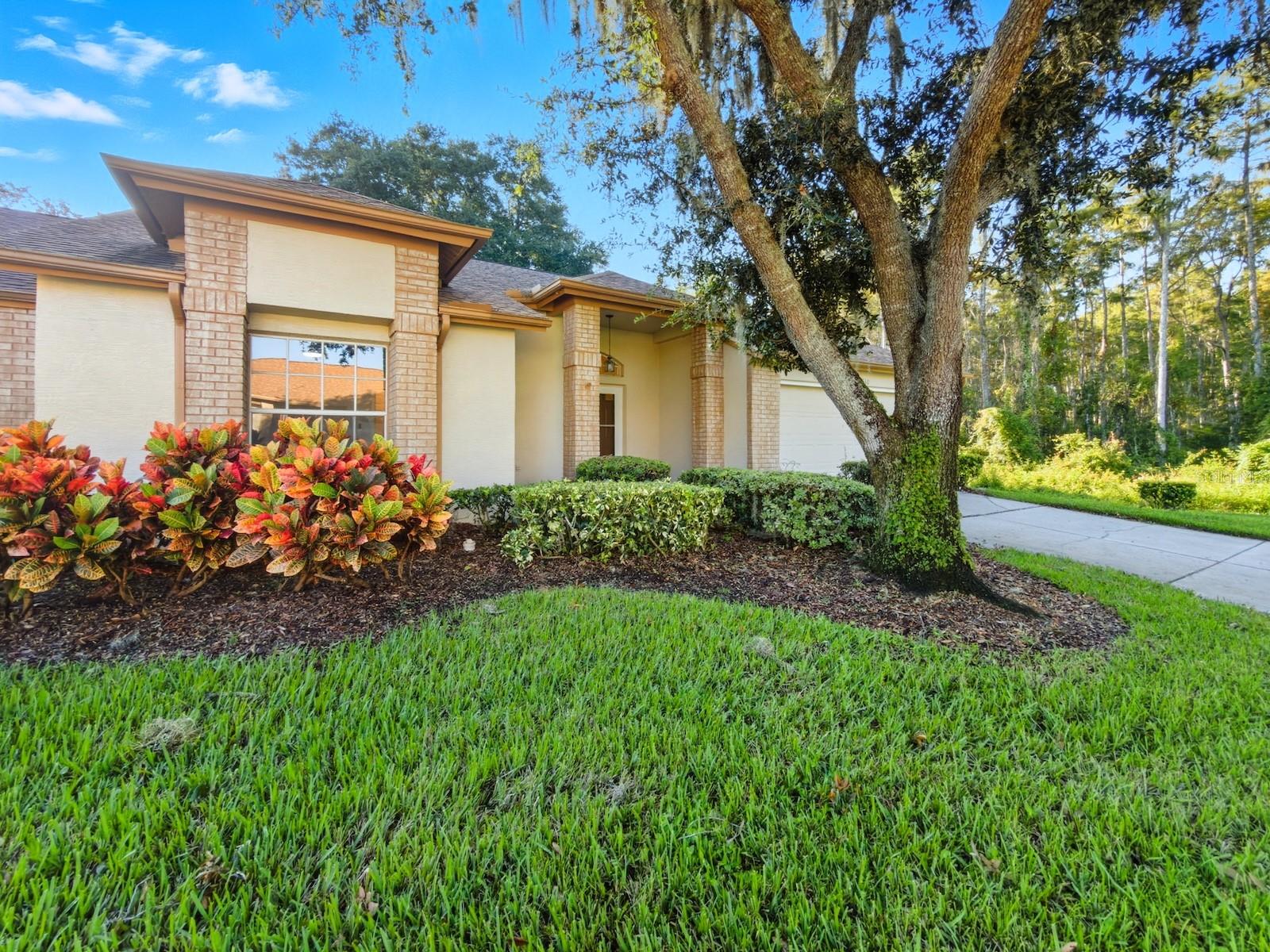 5930 PRECIOUS VIEW COURT
