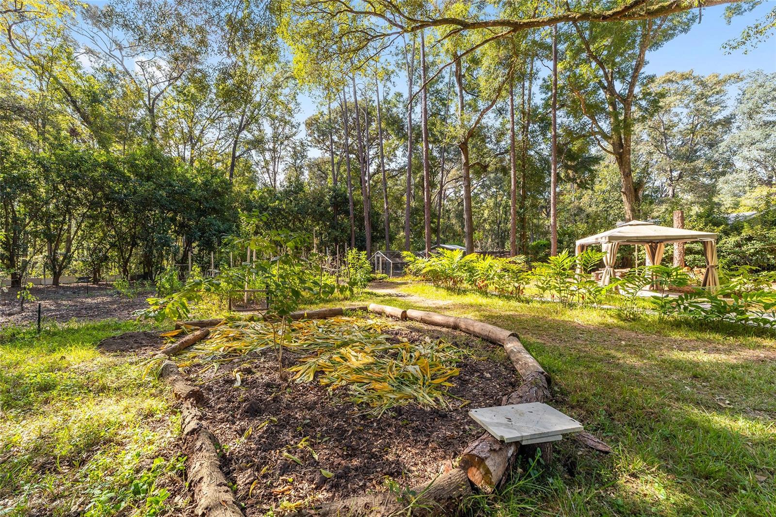 PILOT FOREST ALA - Residential