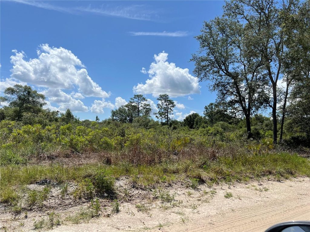 Photo of 0 SW 157 Lane, Dunnellon, FL 34432 (MLS # OM703836)