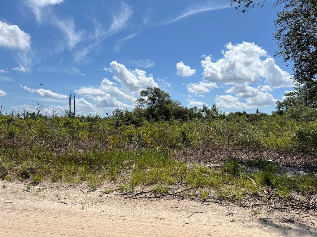 Photo of 0 SW 157 Lane, Dunnellon, FL 34432 (MLS # OM703836)