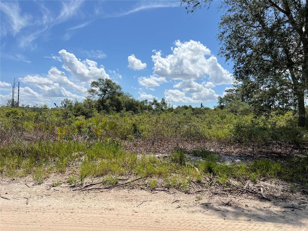 Photo of 0 SW 157 Lane, Dunnellon, FL 34432 (MLS # OM703836)