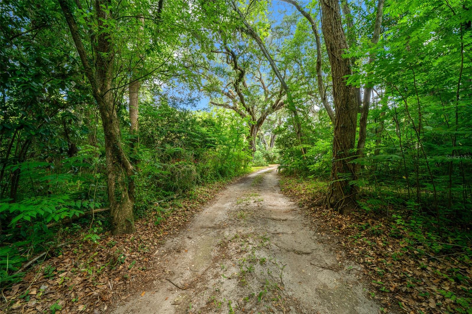 1985 NE 97TH STREED ROAD