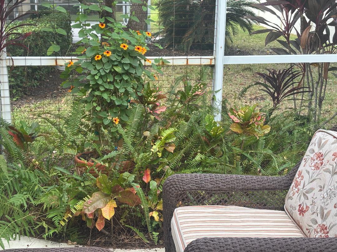 VILLA ROSA - Residential