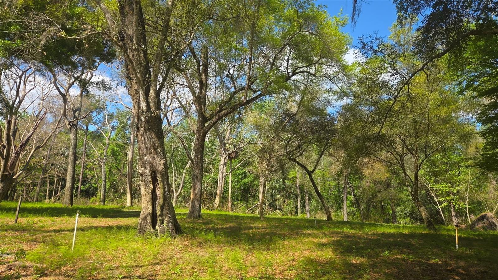 2140 ST JOHNS RIVER ROAD