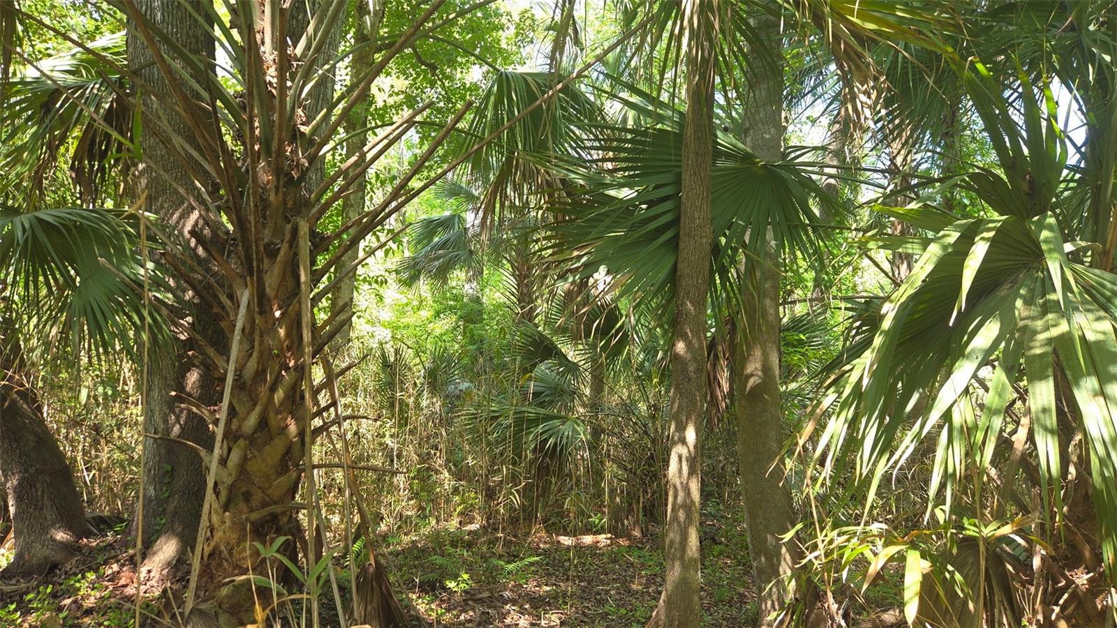 2140 ST JOHNS RIVER ROAD