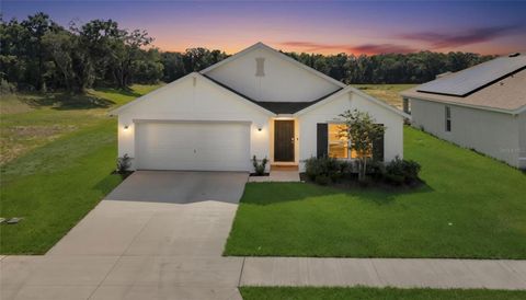 Photo of 11446 SE 72nd Avenue, Belleview, FL 34420 (MLS # OM724841)