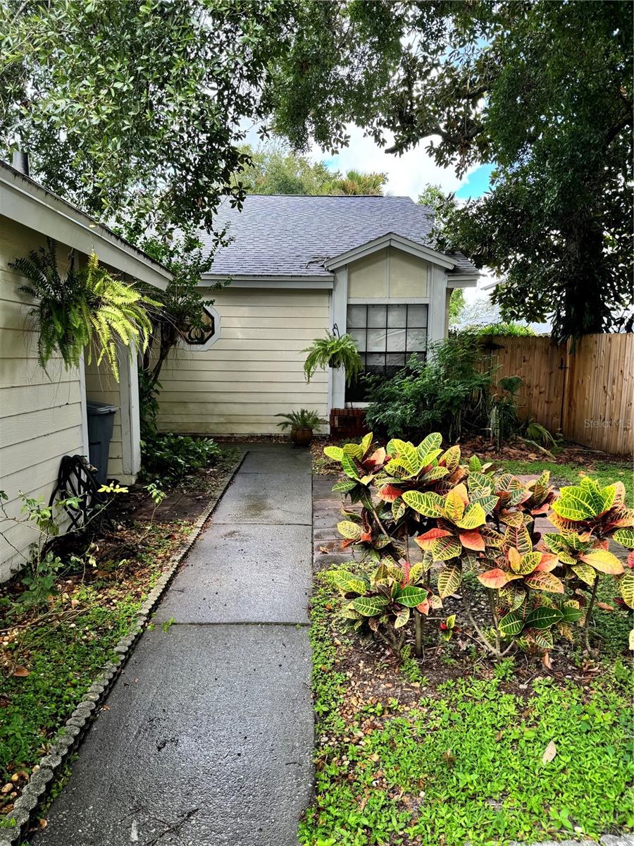 BRANCH TREE - Residential Lease