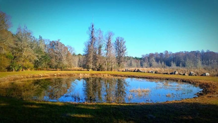 820± acre turn-key hunting and recreational property in Perry, Florida with abundant populations of whitetail deer, hogs, and turkey managed under quality deer management practices. Property features established food plots, box stands, stock ponds, and an extensive internal road system that is properly ditched and drained for dependable access throughout the property. The landscape offers excellent wildlife habitat with mature hardwoods including oak and cypress along with mature pine timber. The property is fenced with multiple gated entrances. The ranch includes a 3 bedroom, 2 bathroom home with approximately 1,648 sq ft under roof featuring front and rear porches, Mexican tile floors, tongue and groove walls, and an open floor plan. Home is being sold furnished. Cleared yard areas are seeded with grass and shaded by mature trimmed oaks and can easily be maintained with a batwing mower. Improvements include an oversized metal storage building, workshop, tractor shed, freshly rocked parking area, fire pit, and smart thermostat. Power has been extended miles into the property and is already paid for. Utilities include a newer septic system and water treatment with softener, peroxide treatment, and kitchen filtration. Rare opportunity to own a well-improved North Florida hunting property with excellent infrastructure already in place.