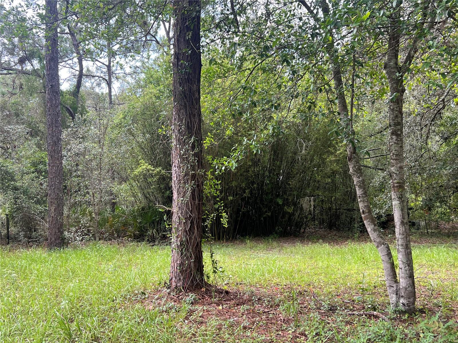 GREEN ACRES ADD - Residential