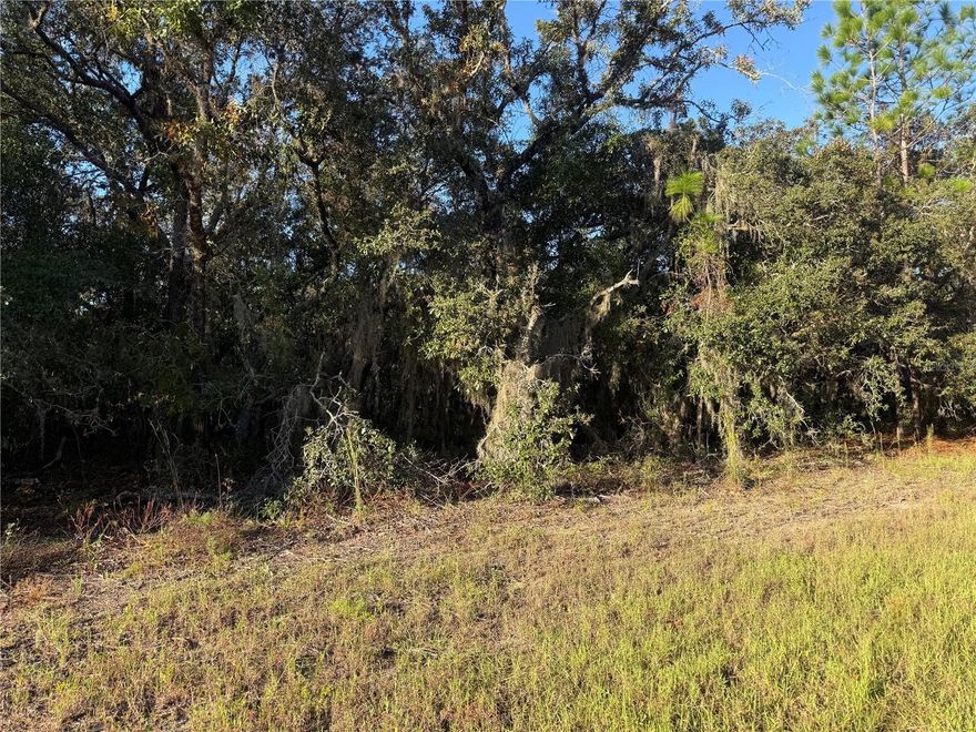 Build your dream home on this beautiful 3.25-acre homesite located in the heart of Pine Ridge, one of Central Florida’s premier equestrian communities. This spacious, residentially zoned property offers the perfect opportunity to design a custom estate in a peaceful, natural setting. Pine Ridge features over 28 miles of dedicated horse trails, a community stables, and a riding arena—an equestrian lifestyle at its finest. Beyond horses, the community appeals to those who value privacy, outdoor recreation, and room to grow. With ample space, you can create your ideal retreat complete with a home, pool, and even stables if you choose. Enjoy privacy and natural beauty while having state parks, rivers, springs, the Gulf of Mexico just a short distance and the best part is easy access to Tampa or Orlando. This homesite has already been surveyed so you can start your journey right away
