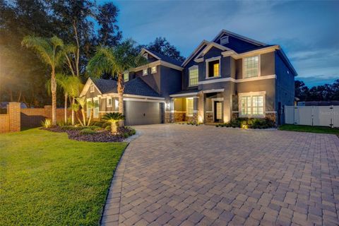 1229 HILLANDALE RESERVE DRIVE TAMPA FL 33613