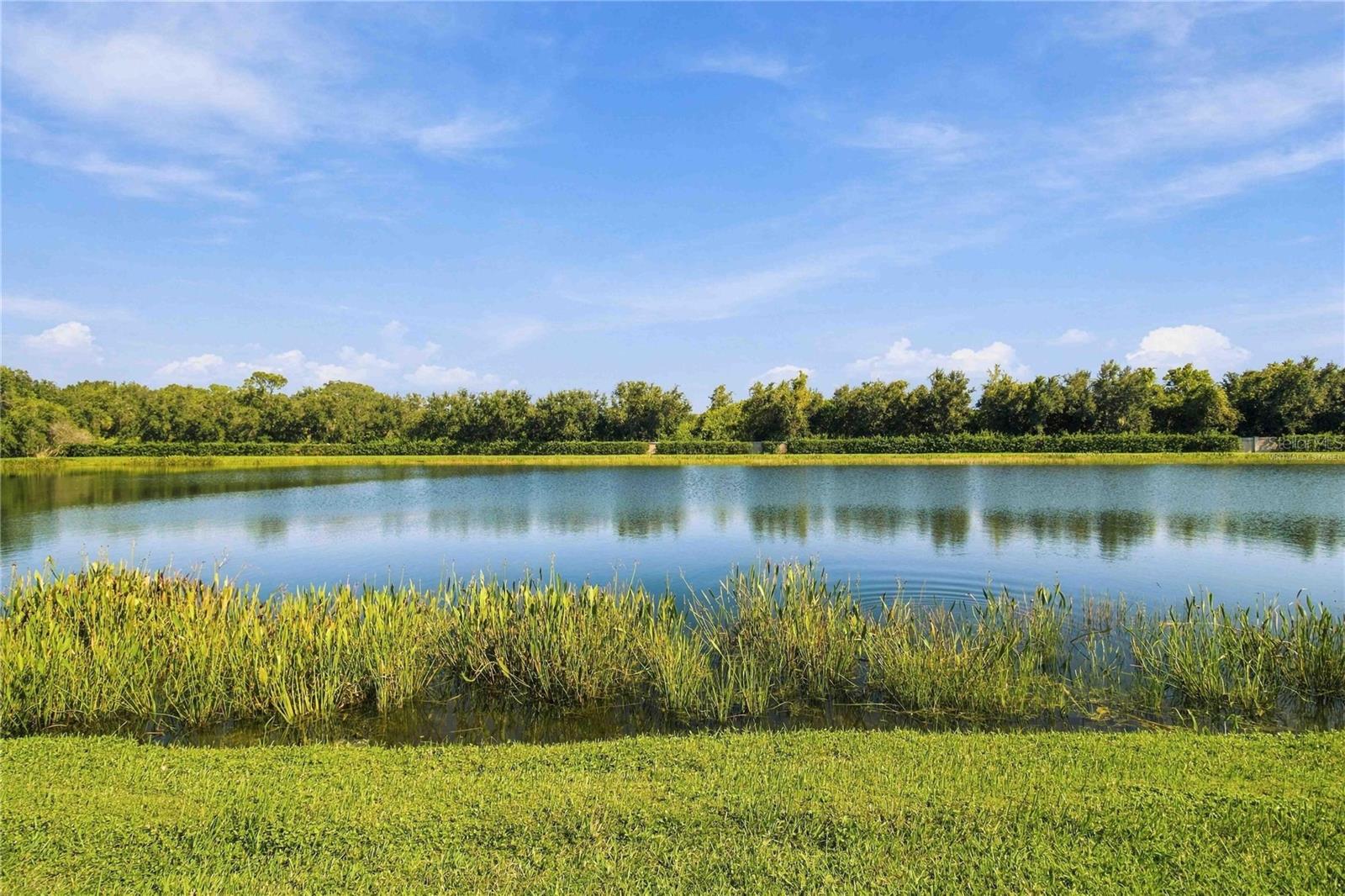 5003 TOBERMORY WAY, BRADENTON, FL, 34211 1 5003 TOBERMORY WAY