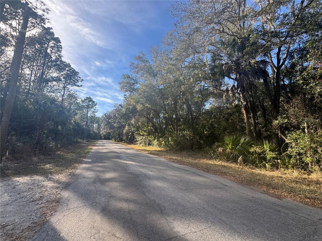 Photo of 8627 W Rue Des Prairies Place, Crystal River, FL 34428 (MLS # GC537894)