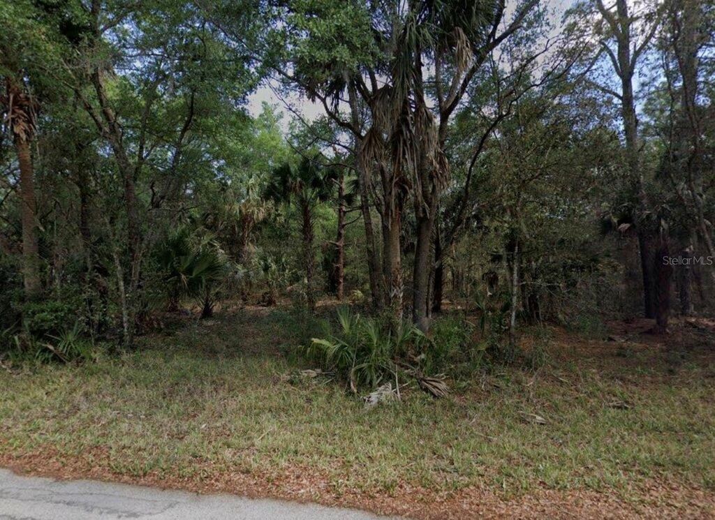 Photo of 8627 W Rue Des Prairies Place, Crystal River, FL 34428 (MLS # GC537894)