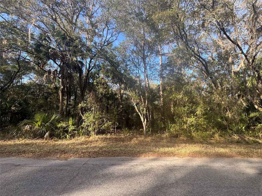 Enjoy the beauty of Crystal River, Florida, with a fantastic opportunity to build your dream home on this 1 acre vacant lor. Zoned Rural Residential, you can build your own single-family Home, Barndominium, modular home, or Tiny Home, as well as an accessory structure. It is not in the Flood Zone and has no HOA or CDD. Get a taste of Florida Living with easy access to the Boardwalks at Three Sisters Springs, unspoiled forests, and plenty of outdoor activities that you can enjoy, such as fishing or golf. A short drive from lakes, rivers, the Gulf, Public boat ramps, and so much more. The neighborhood is also near medical facilities, restaurants, and water sports. Stop by and view the property where you can build your future home now or later.