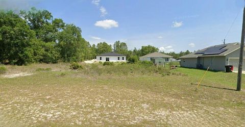 SW 135TH PLACE OCALA FL 34473