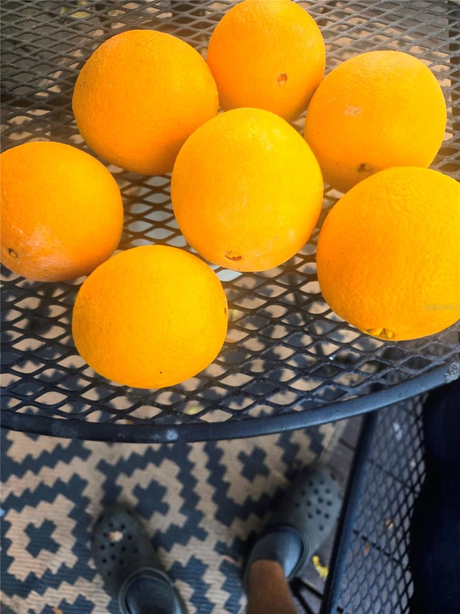 OCALA OAKS 02 - Residential