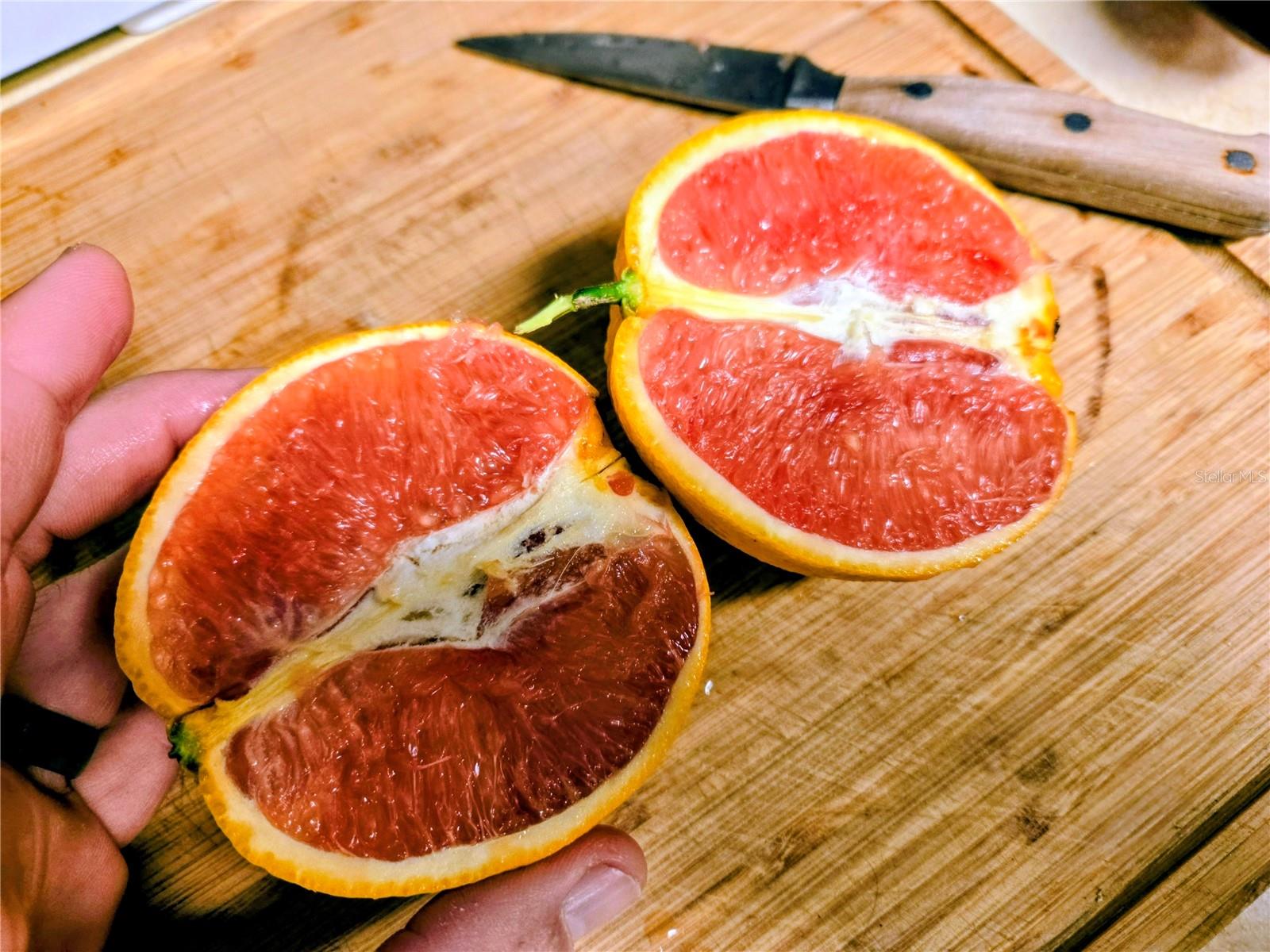 OCALA OAKS 02 - Residential