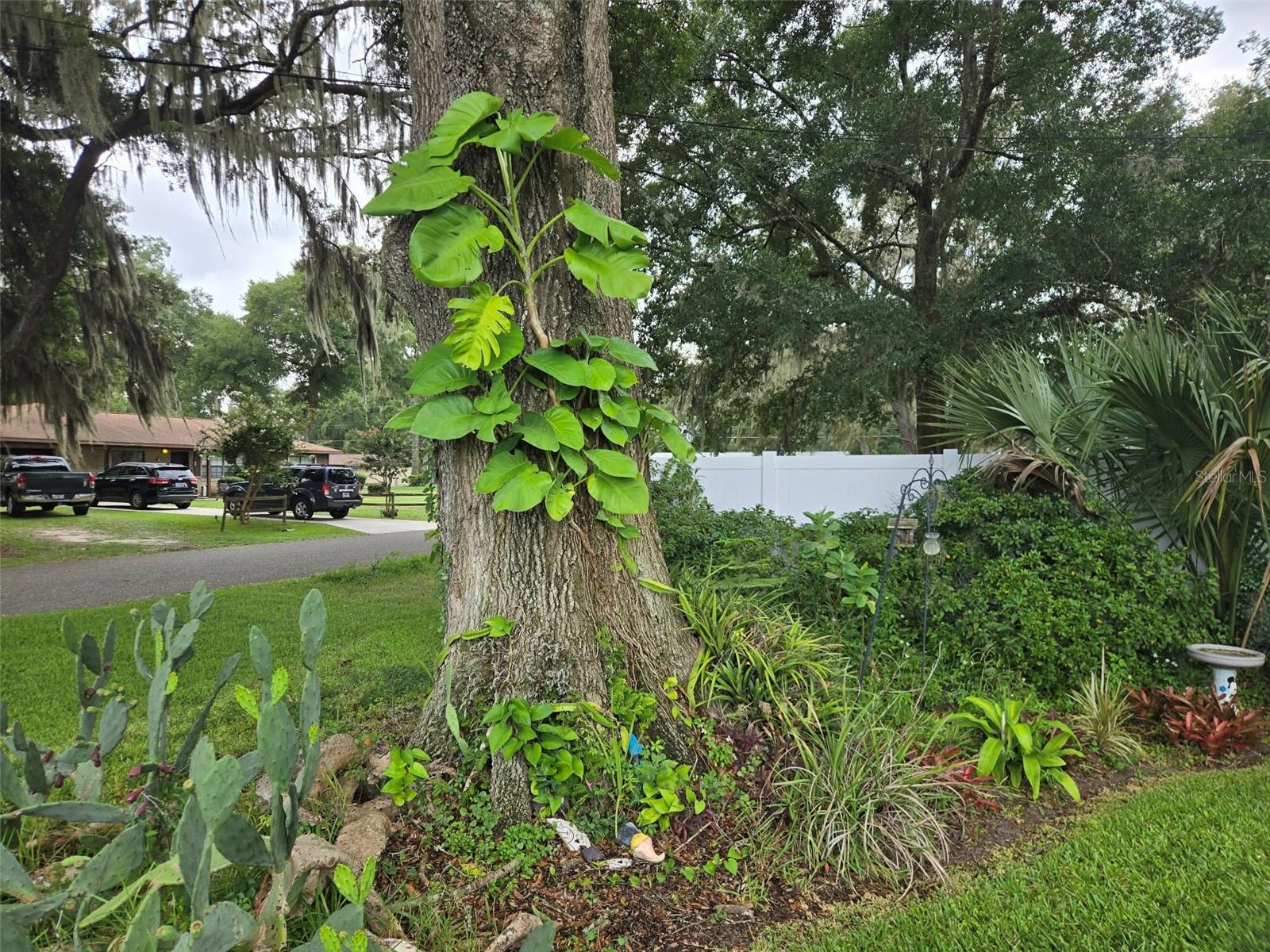 OCALA OAKS 02 - Residential