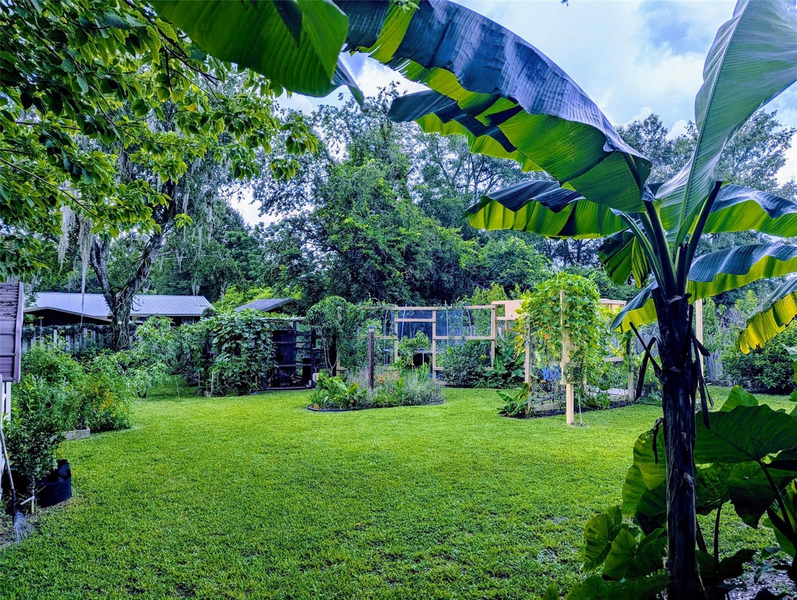 OCALA OAKS 02 - Residential