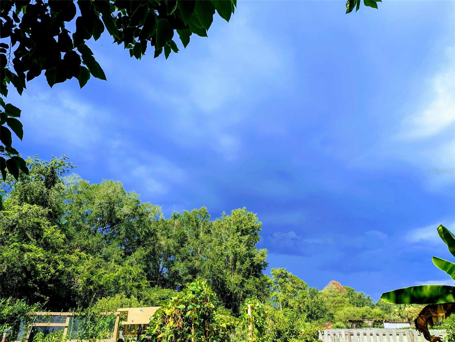 OCALA OAKS 02 - Residential