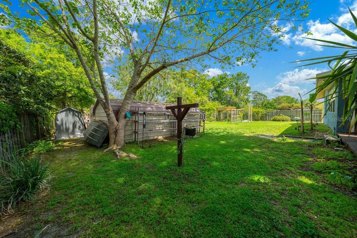 OCALA OAKS 02 - Residential