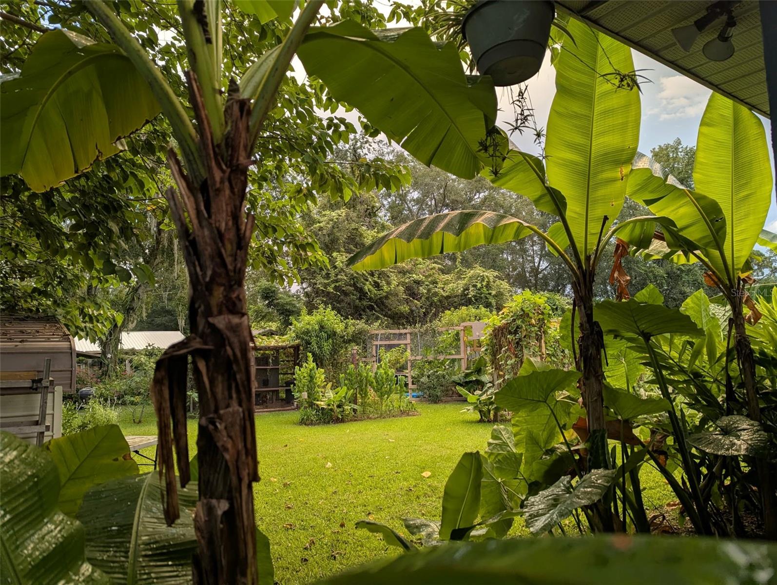 OCALA OAKS 02 - Residential