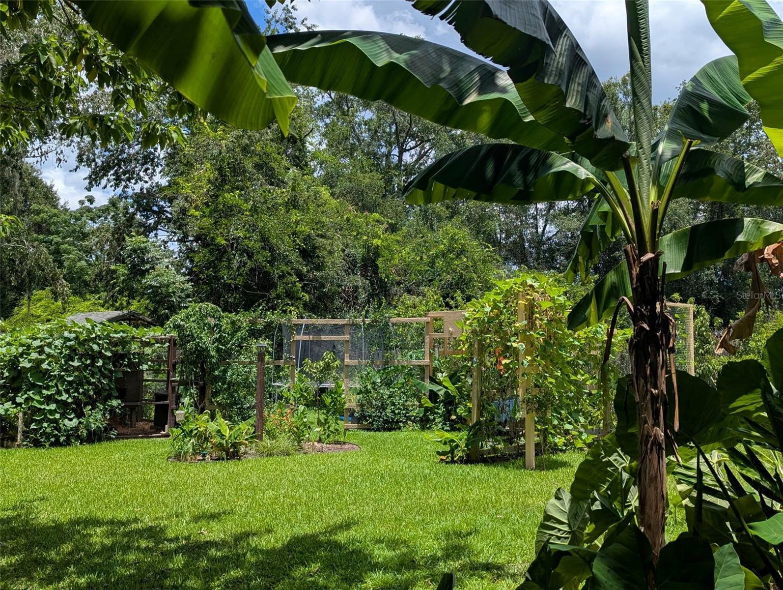 OCALA OAKS 02 - Residential