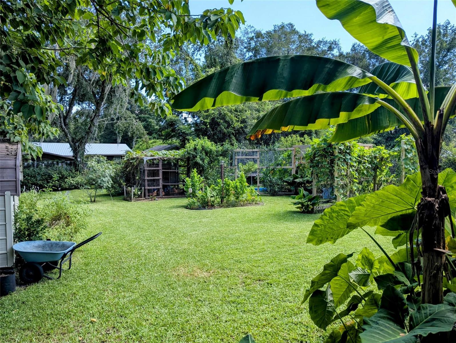 OCALA OAKS 02 - Residential